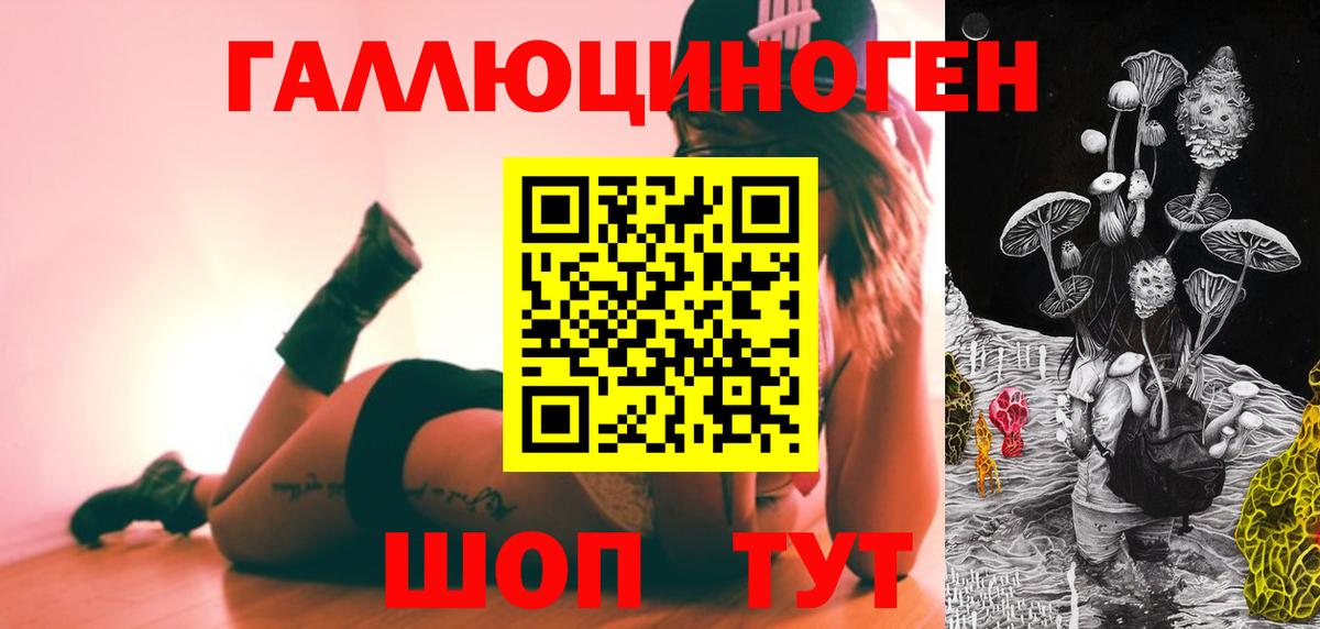 Псилоцибиновые грибы GOLDEN TEACHER  купить наркоту  Курск  Вход с VPN 